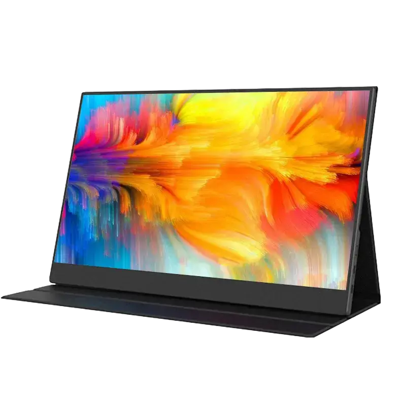 Portable monitor